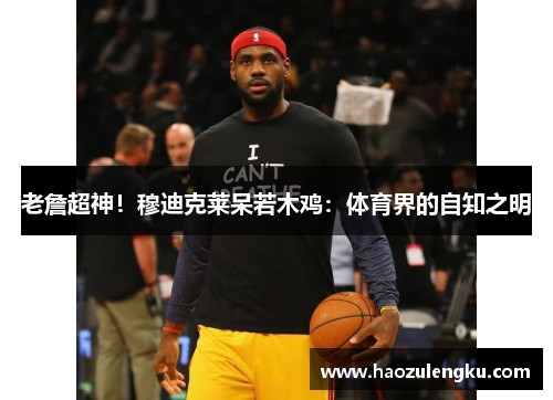 老詹超神！穆迪克莱呆若木鸡：体育界的自知之明